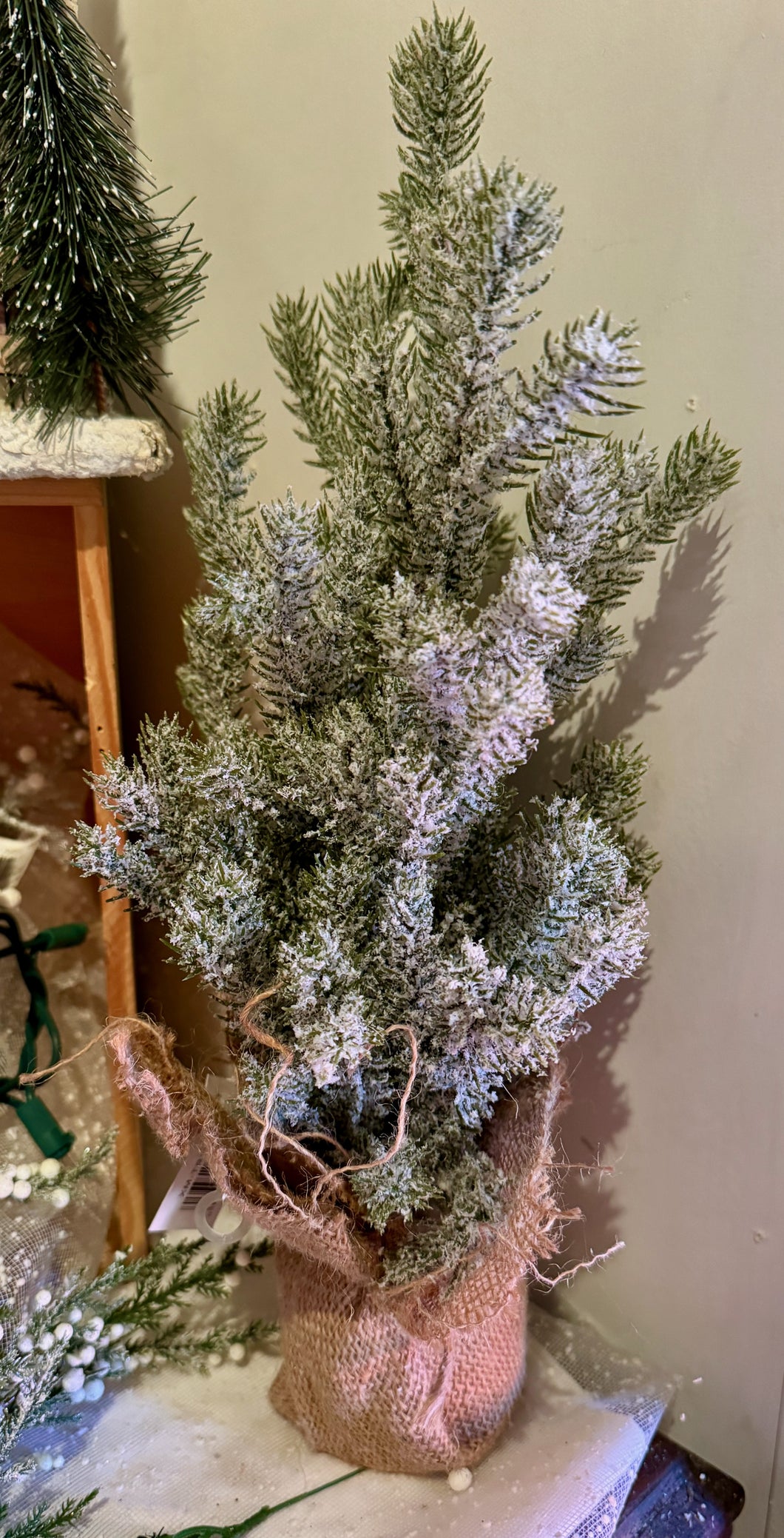 Frosted Pine Tree