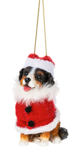 Load image into Gallery viewer, Santa Paws Dog Ornament
