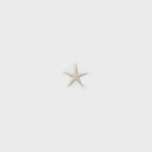 Large White Metal Star