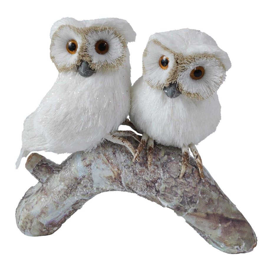 Two Owls On a Branch